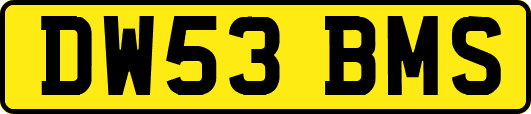 DW53BMS