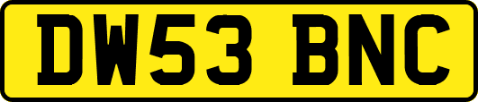 DW53BNC