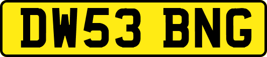 DW53BNG