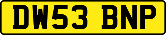 DW53BNP