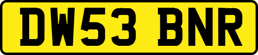 DW53BNR