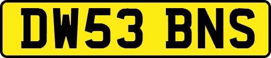 DW53BNS