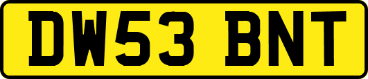 DW53BNT
