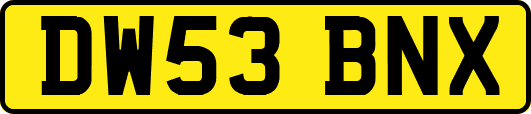 DW53BNX