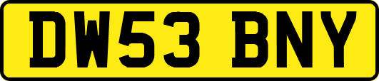 DW53BNY