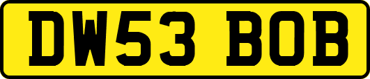 DW53BOB