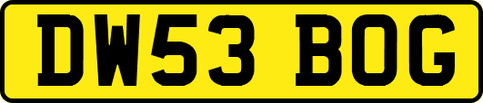 DW53BOG