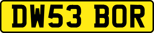 DW53BOR