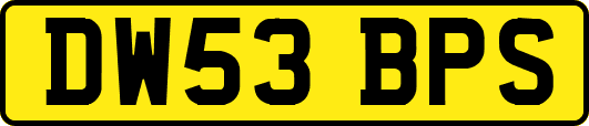 DW53BPS