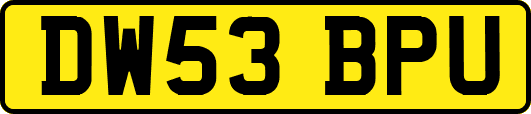 DW53BPU