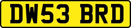 DW53BRD