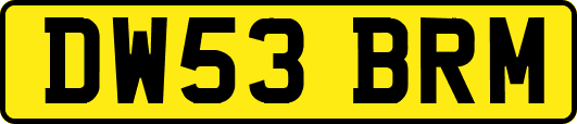 DW53BRM