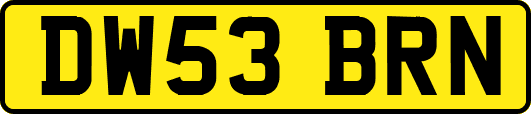DW53BRN