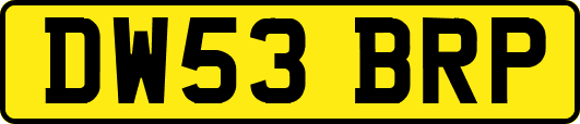 DW53BRP
