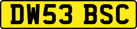 DW53BSC