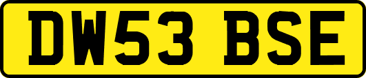 DW53BSE