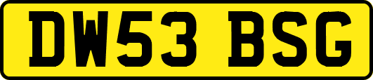 DW53BSG