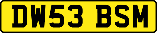 DW53BSM