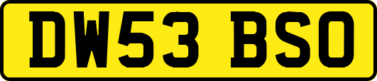 DW53BSO