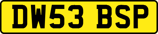 DW53BSP