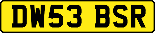 DW53BSR