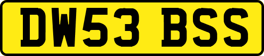 DW53BSS
