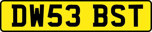 DW53BST