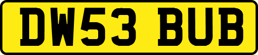 DW53BUB