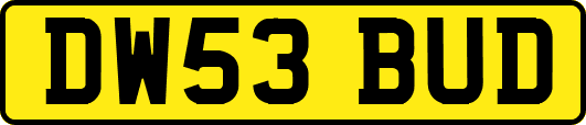 DW53BUD