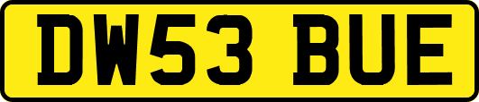 DW53BUE