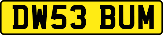 DW53BUM