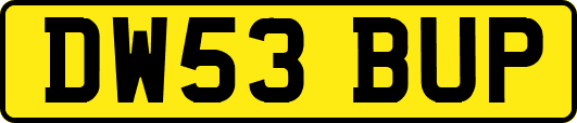 DW53BUP