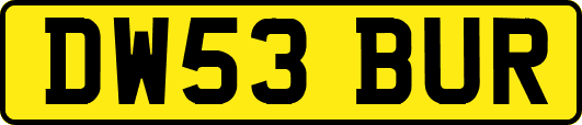DW53BUR