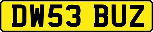 DW53BUZ