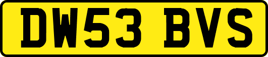 DW53BVS