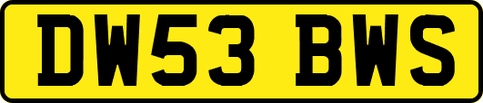 DW53BWS