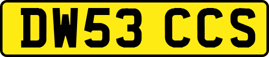 DW53CCS