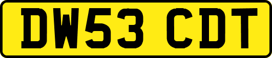DW53CDT