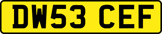 DW53CEF