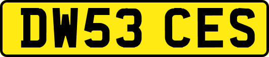 DW53CES