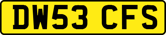 DW53CFS