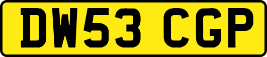 DW53CGP