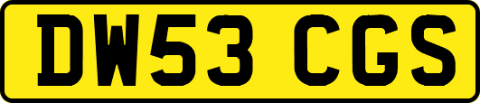 DW53CGS
