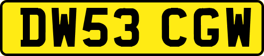 DW53CGW
