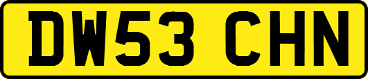 DW53CHN