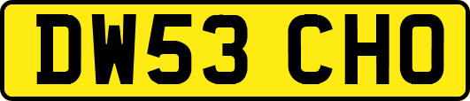 DW53CHO