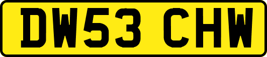 DW53CHW
