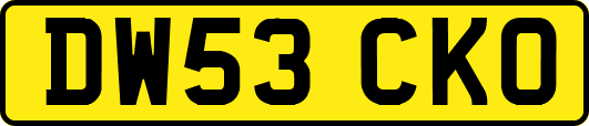 DW53CKO
