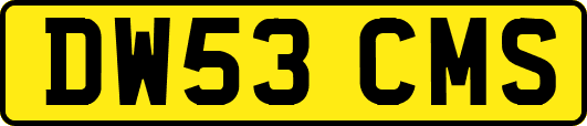 DW53CMS