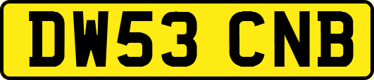 DW53CNB
